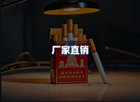 专业团队办公环境